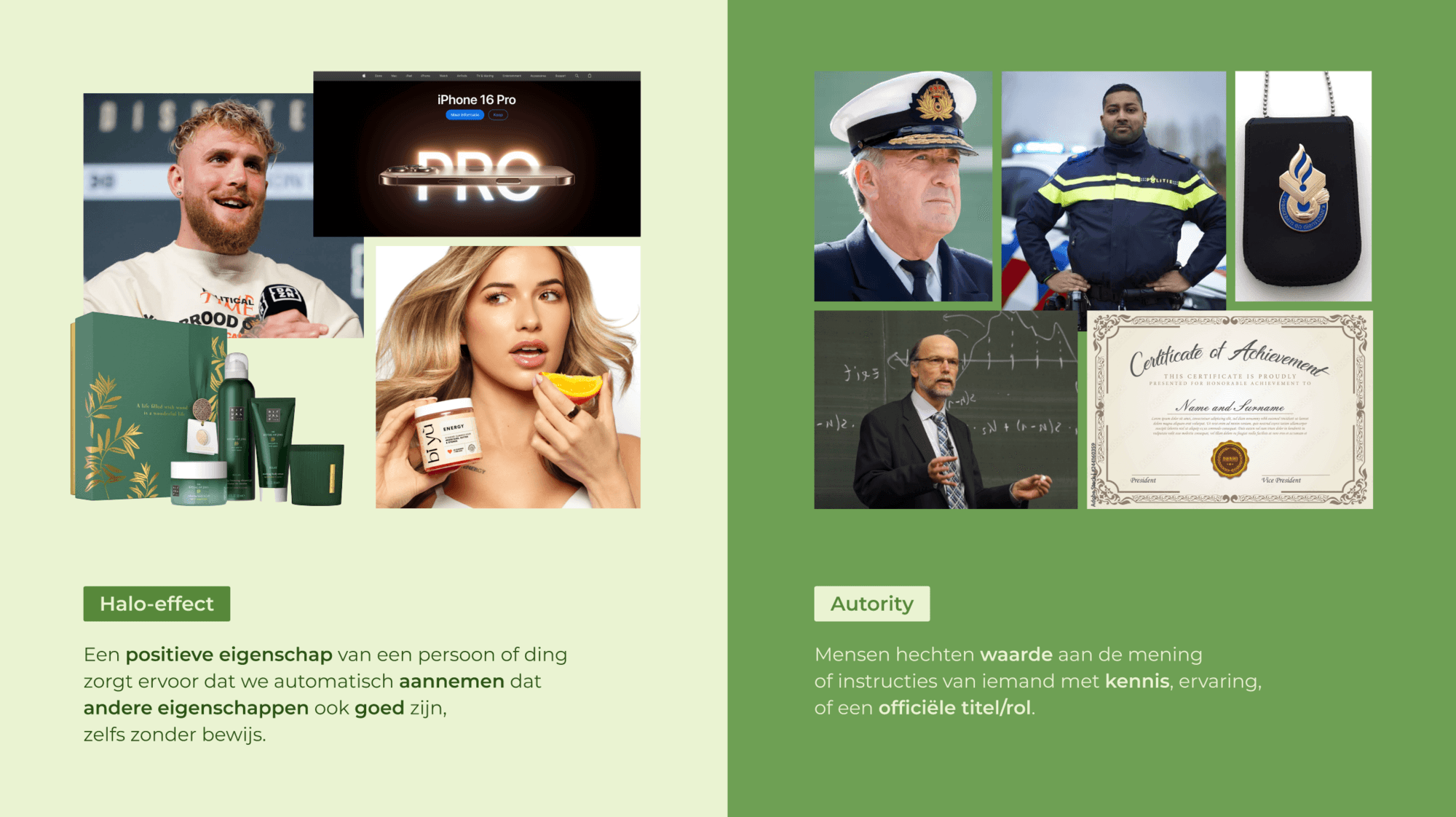 Presentation 9